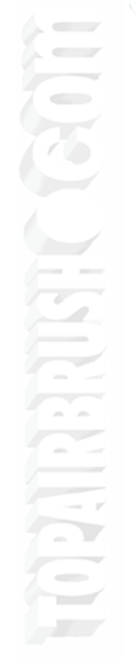 topairbrush logo